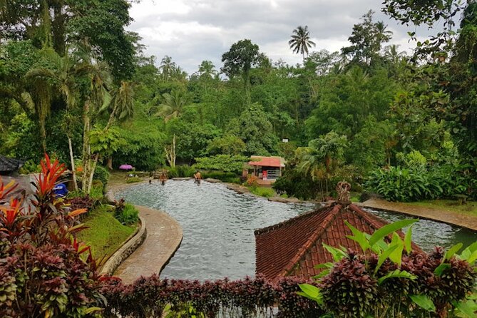 4-Hour Private Tour in Jatiluwih Terraces and Butterfly Park - The driver can make or break the day