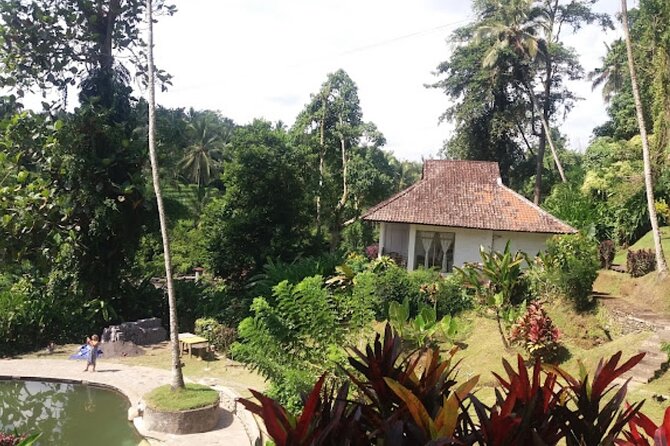 4-Hour Private Tour in Jatiluwih Terraces and Butterfly Park - Transport, timing, and what the $70 covers