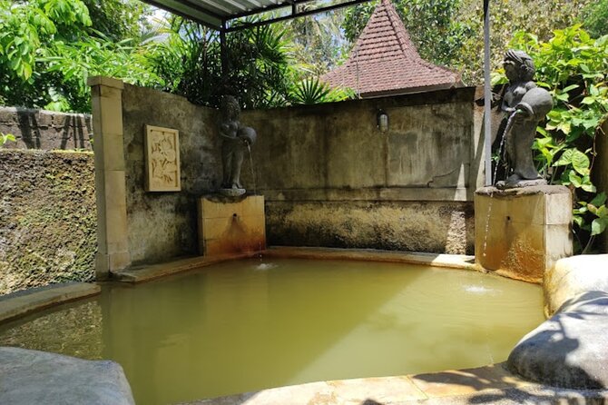 4-Hour Private Tour in Jatiluwih Terraces and Butterfly Park - Who will enjoy this private Bali outing