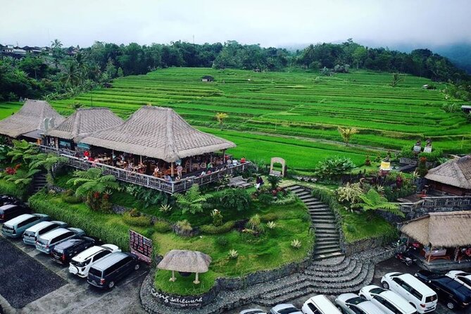 4-Hour Private Tour in Jatiluwih Terraces and Butterfly Park - Inside Bali Butterfly Park