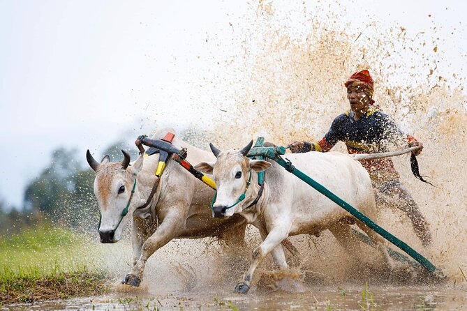 5-Days Private Tour in West Sumatera - Day 3: Bull racing, royal architecture, and Pariangan