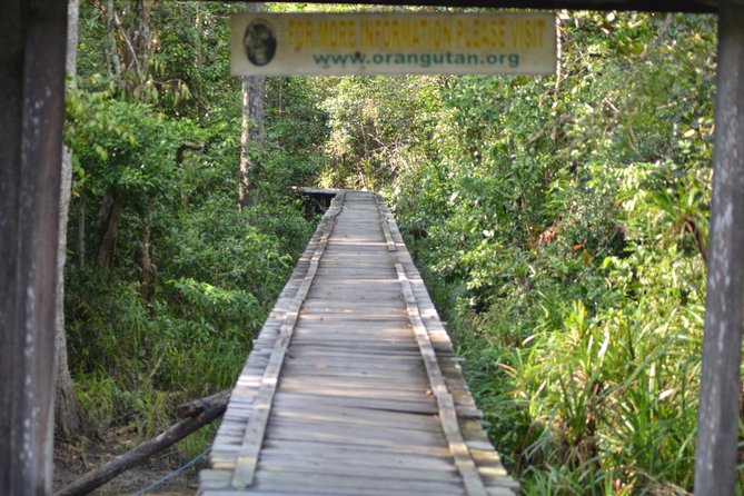 5 Days Truly Orangutan Wildlife Jungle Trail - Why the river is the heart of this five-day trip