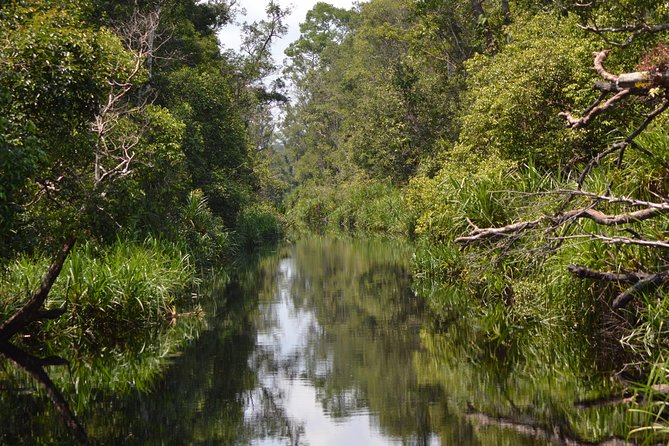 5 Days Truly Orangutan Wildlife Jungle Trail - Day 4: Pesalat, village life, and fireflies