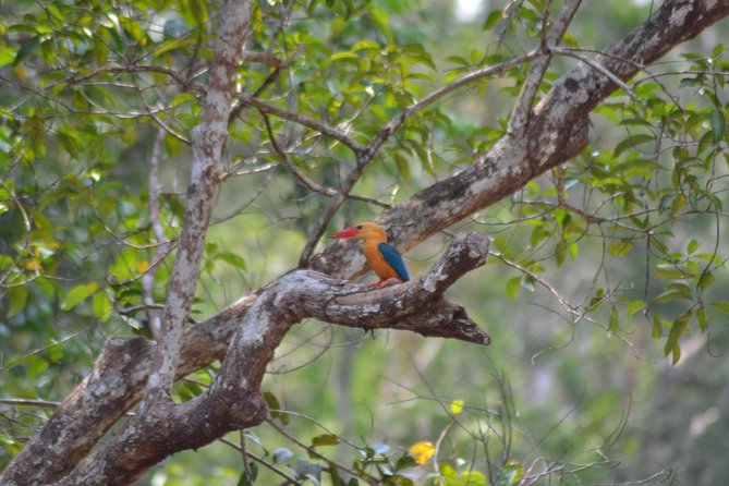 5 Days Truly Orangutan Wildlife Jungle Trail - The boat crew, meals, and daily comfort