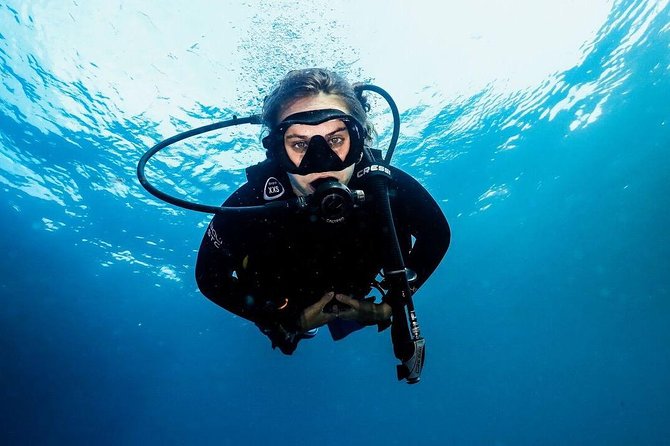 5 Fun Dives in Nusa Lembongan (for certified divers) - Swim with a Mola Mola - Mangrove Point brings a different setting