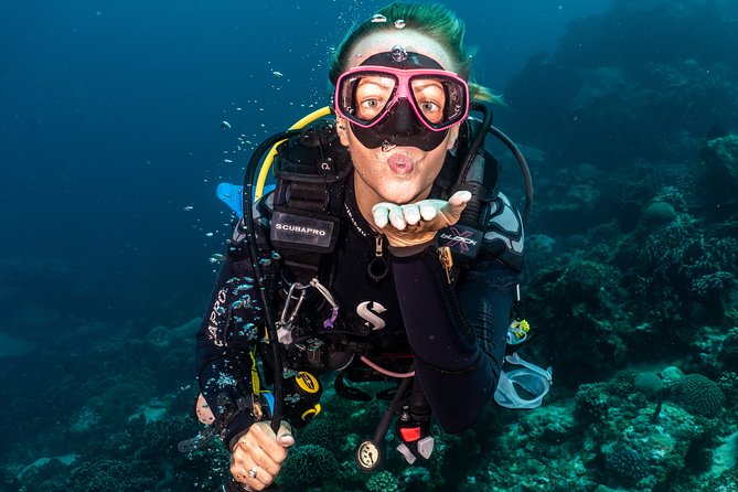 5 Fun Dives in Pemuteran (for certified divers) - Exploration in Menjangan Park - The 15-minute ride and 25-minute boat trip