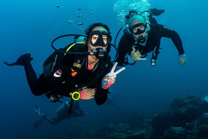 5 Fun Dives in Pemuteran (for certified divers) - Exploration in Menjangan Park - Eels Garden, POS 2, and Menjangan’s coral walls