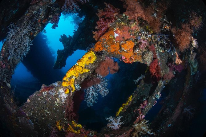 5 Fun Dives in Tulamben (for certified divers) - Discover famous diving sites - What the guide support adds