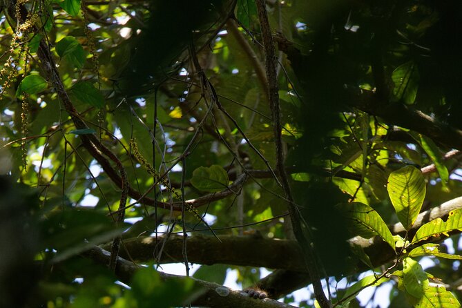 6 Days Bukit Lawang - Berastagi Tour (2D1N Jungle Treking + Sunrise Hiking) - Day 5: Mount Sibayak, hot springs, and Sipiso-Piso