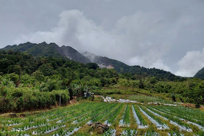 7 Days 6 Nights North Sumatra Tour (Bukit Lawang-Berastagi-Lake Toba) - Day 4: Mount Sibayak and Lau Debuk-Debuk