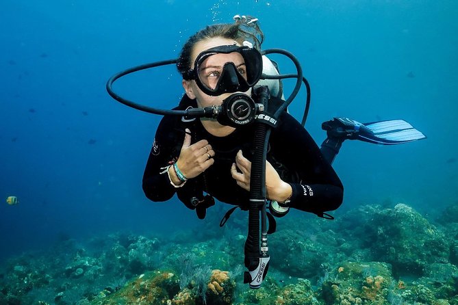7 Fun Dives in Nusa Lembongan (for certified divers) - Premium Value Package - The guide team and the feel of the service
