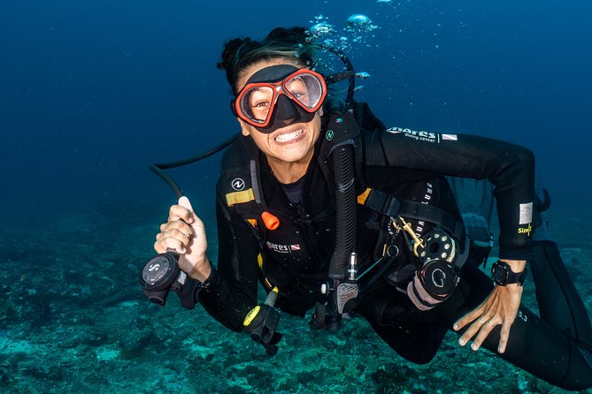 7 Fun Dives in Pemuteran (for certified divers) - Exploration in Menjangan Park - The guides and the small-group feel