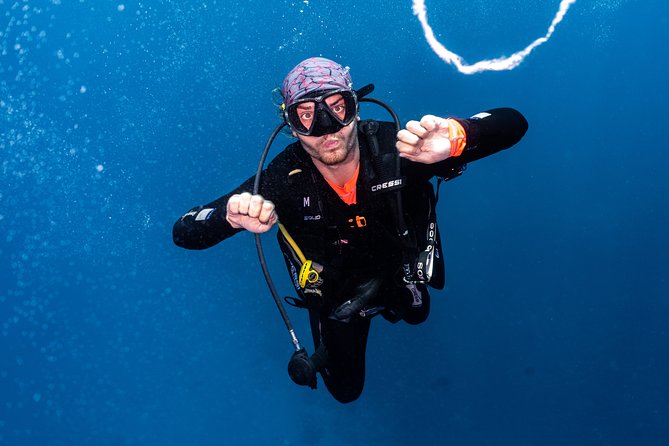 7 Fun Dives in Pemuteran (for certified divers) - Exploration in Menjangan Park - The transfer to Menjangan Island