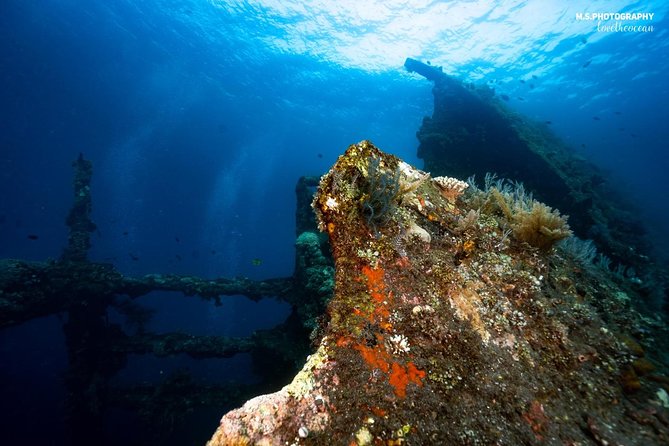 7 Fun Dives in Tulamben (for certified divers) - Premium Value Package - Equipment, facilities, and what to check