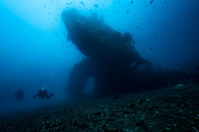 7 Fun Dives in Tulamben (for certified divers) - Premium Value Package - What Tulamben Beach adds