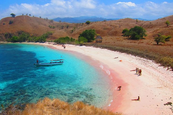 A Day to Komodo Island - Manta Point and Taka Makassar: the day’s wild card