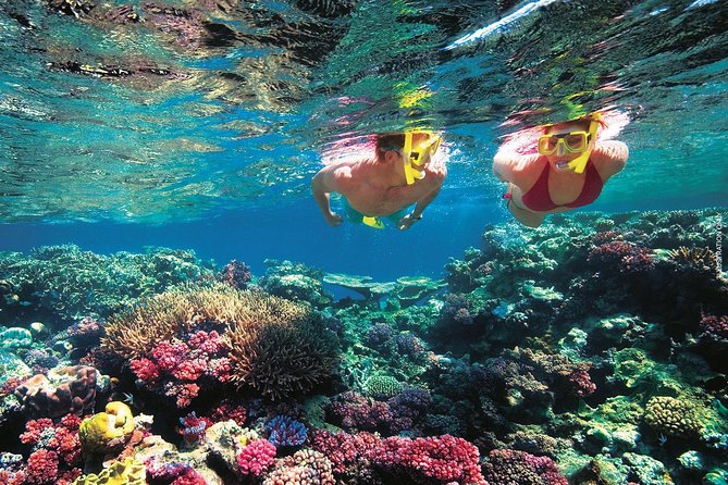 A Day to Komodo Island - Weather, sea conditions, and the rainy-season question
