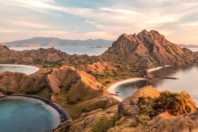 A Day to Komodo Island - Komodo Island: a ranger-led walk with no guarantee