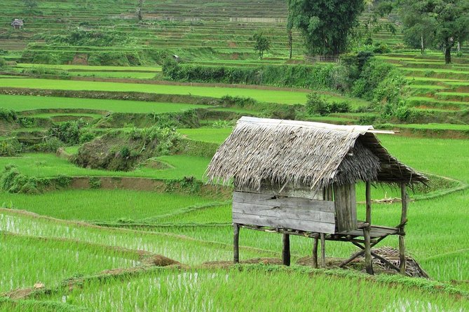 Active Volcano, Rice Field, Hot Spring, Fruit market, Tea Plantation with Lunch - Tangkuban Perahu, the powerful centerpiece