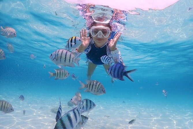 (ALL- IN) Bali Snorkeling Blue Lagoon with Waterfall Visit - Tegenungan Waterfall at 3:00 PM