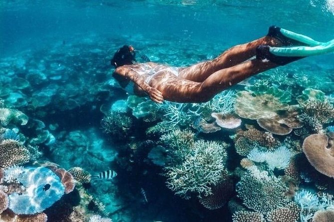 All Inclusive : Bali Blue Lagoon Snorkeling, Lunch, and Transport - Blue Lagoon: calm water and an easy first site