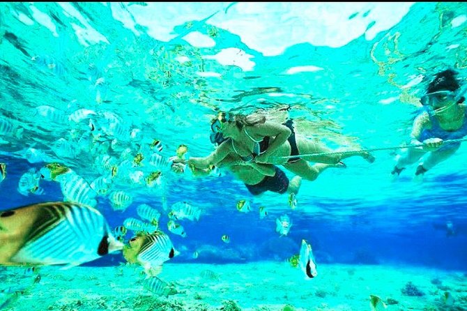 All Inclusive : Bali Blue Lagoon Snorkeling, Lunch, and Transport - How good is the private tour value?