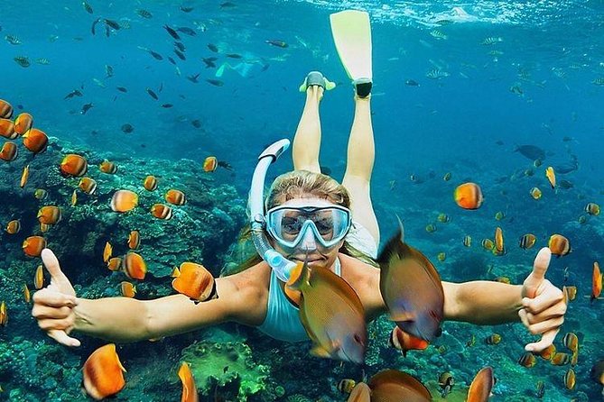 All Inclusive : Bali Blue Lagoon Snorkeling, Lunch, and Transport - The drive from Ubud to Padangbai