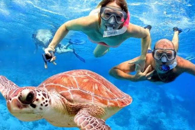 All Inclusive Bali Blue Lagoon Snorkeling with Lunch and Transport - Two snorkeling sites, two different moods