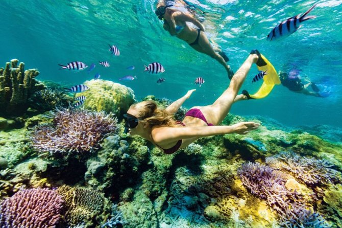 All Inclusive Bali Blue Lagoon Snorkeling with Lunch and Transport - Why Blue Lagoon carries the morning