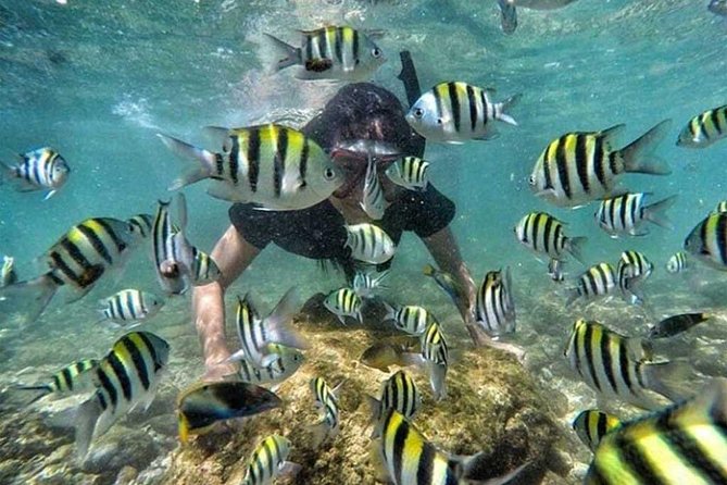 All Inclusive Bali Snorkeling Blue Lagoon tour experience - Bias Tugel Beach at 3 p.m.