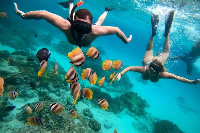All Inclusive Blue Lagoon Snorkeling with Bali ATV Quad Adventure - Why the transport service matters