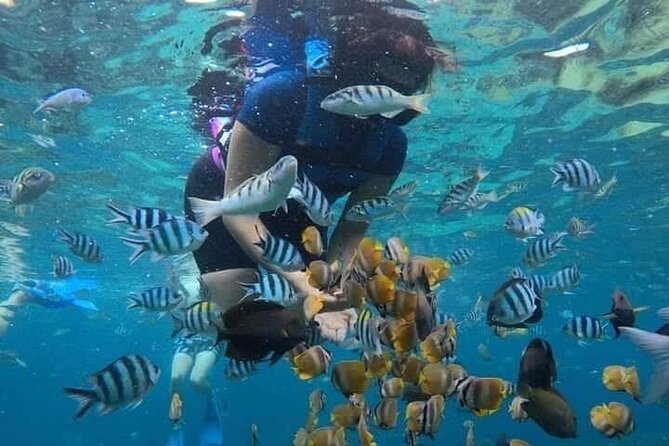 All Inclusive Blue Lagoon Snorkeling with Bali ATV Quad Adventure - Lunch and the value of the $70 price