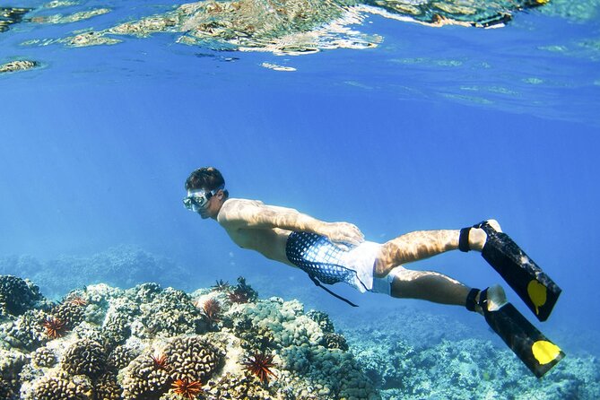 All Inclusive Blue Lagoon Snorkeling with Bali ATV Quad Adventure - Reaching Blue Lagoon after the ride