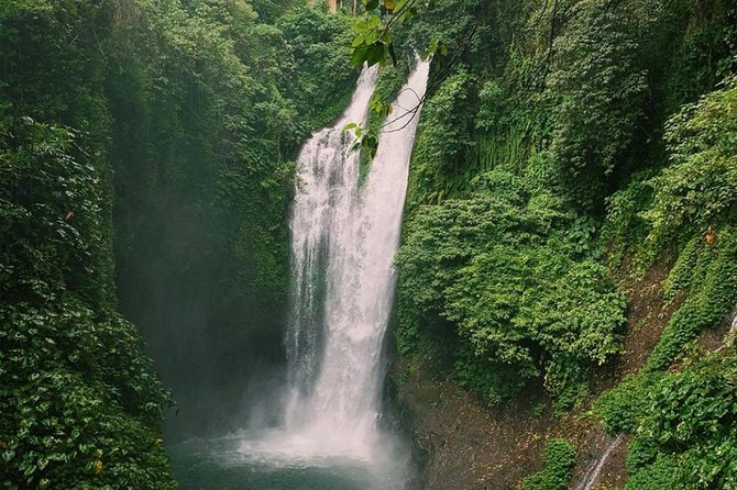All Inclusive : Jumping Sliding at Aling- Aling Waterfall - Handara Gate - Lunch - Who will enjoy this tour most