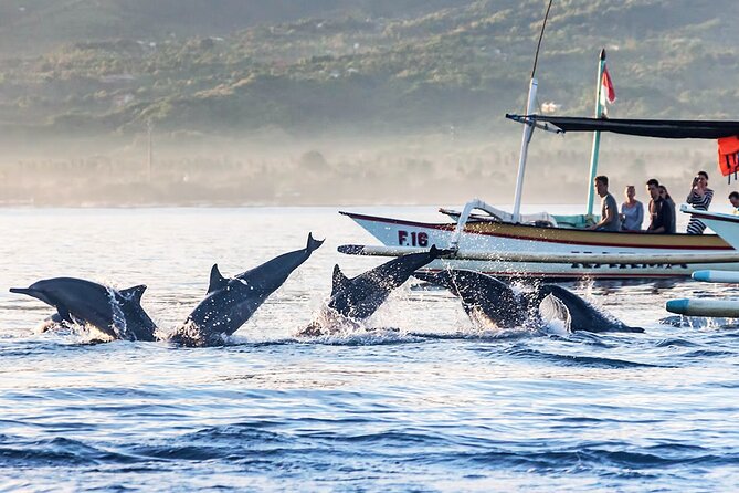 All inclusive Lovina Dolphins Sunrise tour, Waterfall & Temple - Who will enjoy this full-day outing