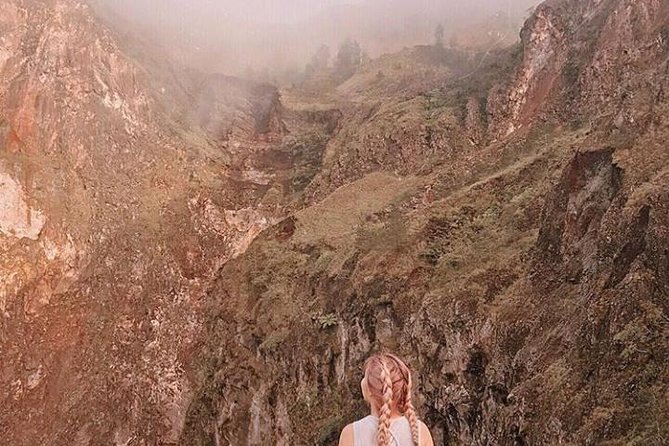 All Inclusive Private Mount Batur Sunrise Trekking And Natural Hot Springs - The Balinese coffee plantation at 11:30 AM