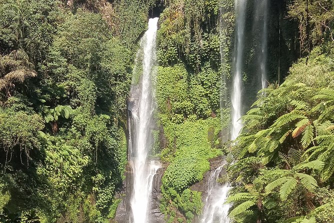 All Inclusive Sekumpul Waterfall Trekking , Handara Gate & Temple - Who should book this day?