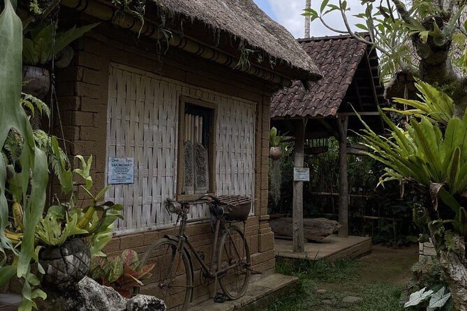 All Inclusive Ubud Cultural and Natural Highlights Tour - Meeting macaques at Ubud Monkey Forest