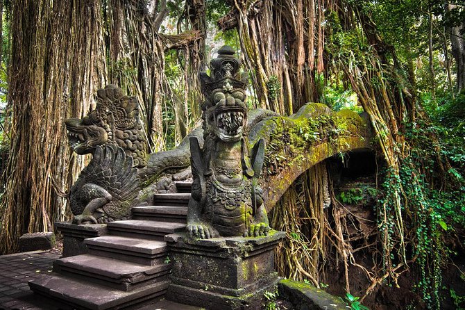 All-Inclusive Ubud Private Tour - Reading the rice fields at Tegalalang