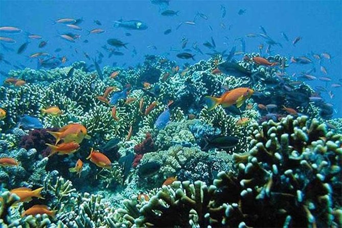 All Ticket Inclusive-Blue Lagoon Snorkeling-Ubud Monkey Forest & Ubud Waterfall - Practical packing advice for the 8:00 a.m. start