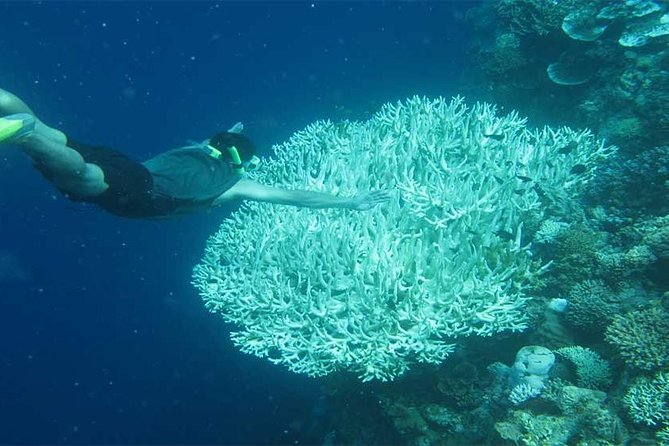 All Ticket Inclusive-Blue Lagoon Snorkeling-Ubud Monkey Forest & Ubud Waterfall - Tegenungan Waterfall for water or views