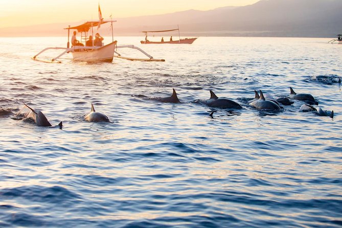 Amazing Private Tours: Dolphins Lovina and Gitgit Waterfall include Lunch - Ulun Danu Beratan Temple and its garden setting