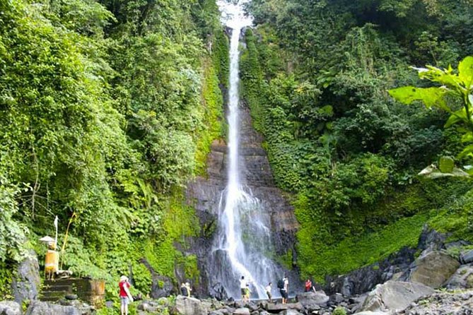Amazing Private Tours: Dolphins Lovina and Gitgit Waterfall include Lunch - The hard part is the clock, not the sightseeing