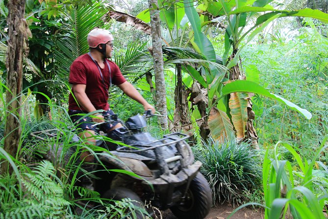ATV Quad Bike with Kintamani Volcano Tour - All Inclusive - Why this Bali day tour works