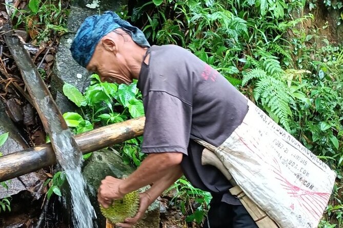 Baduy Tribal Tracker and Village in Private Tour Full Day & Lunch - Arriving at Baduy Luar