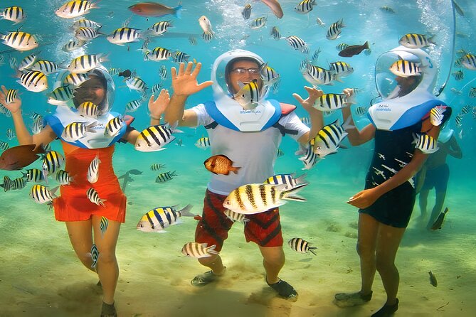 Bali Activity: Bali Sea Walking in Nusa Dua Ocean - Who will enjoy this most