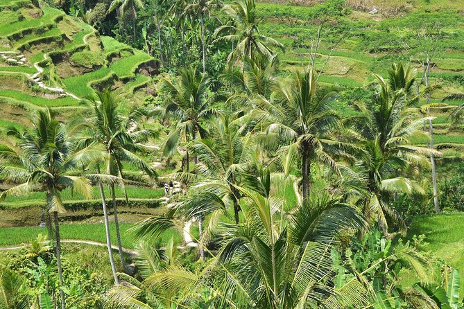 Bali Airport Arrival Transfer and Private Car Charter Combo - What is included, and what you still pay for