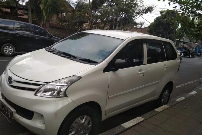 Bali Airport (DPS) Private Transfer to Multiple Destinations - Meeting your driver at Ngurah Rai Airport