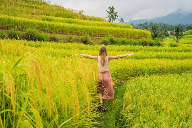 Bali Airport from or to Seminyak/Canggu/Sanur/NusaDua/Uluwatu - Who will get the best value from this transfer