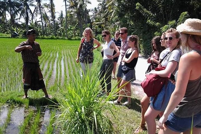 Bali Amazing Cooking Class - Hosts, teaching style, and group atmosphere